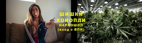 дурь Богородицк