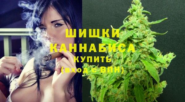 дурь Богородицк