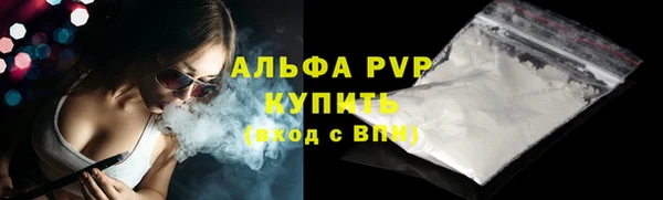 амф Богданович