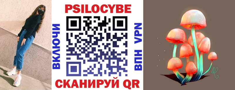 Галлюциногенные грибы MAGIC MUSHROOMS  купить закладку  Междуреченск 